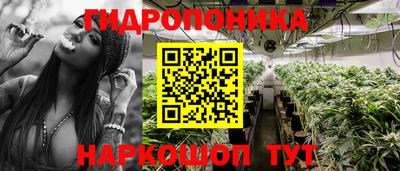 индика Краснодар