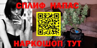 индика Краснодар
