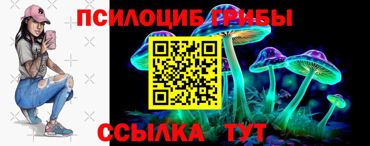 как найти   Псилоцибиновые грибы Magic Shrooms  Кизилюрт  Вход с VPN  Псилоцибиновые грибы Psilocybe 